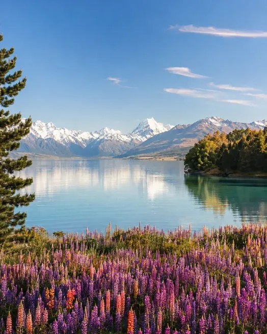 Colline verdi e coste frastagliate della Nuova Zelanda